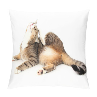 Personality  Itchiness Pillow Covers