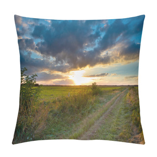 Personality  Straight Walking Trail Pillow Covers