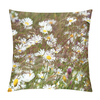 Personality  Wild Daisies On Mountain Meadow Pillow Covers