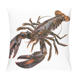 Personality  Fresh Raw Lobster Isolated On White Background Pillow Covers