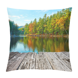 Personality  Pond In White Mountain National Forest Pillow Covers