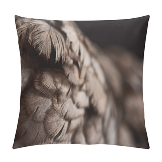 Personality  Close Up Texture Of Brown Chicken Feathers Isolated On Black Pillow Covers