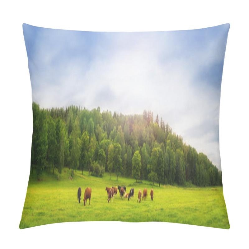 Personality  Cows On A Field Pillow Covers