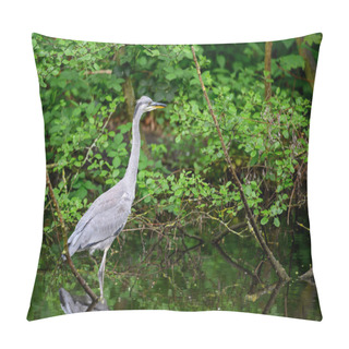 Personality  Grey Heron Standing In A River In Kent, UK. A Heron In Landscape View Facing Right. Grey Heron (Ardea Cinerea) In Kelsey Park, Beckenham, Greater London. The Park Is Famous For Its Herons. Pillow Covers