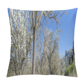 Personality  Delicate Almond Blossoms Create A Breathtaking Natural Tapestry In The Foreground Of The Majestic Tramuntana Mountains. Pillow Covers