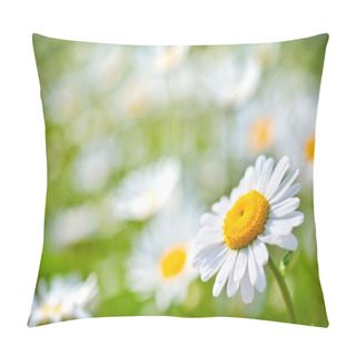 Personality  Blossom Camomilles Pillow Covers
