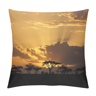 Personality  Sunset In Africa With Acacia Tree On Background Pillow Covers
