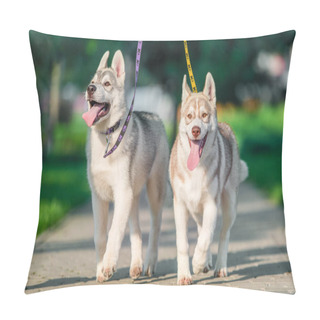 Personality  Two Joyful Siberian Husky Puppies On Colored Leashes Walk In The Park In Summer Pillow Covers