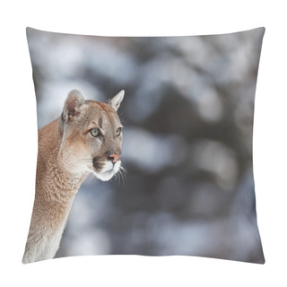 Personality  Cougar, Mountain Lion, Puma, Panther Pillow Covers