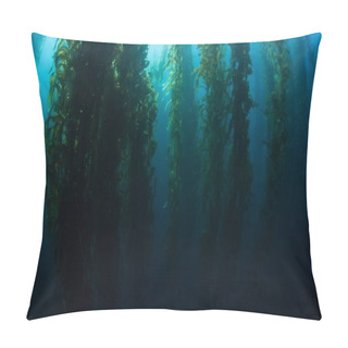 Personality  Kelp Forest In California, Channel Islands Pillow Covers