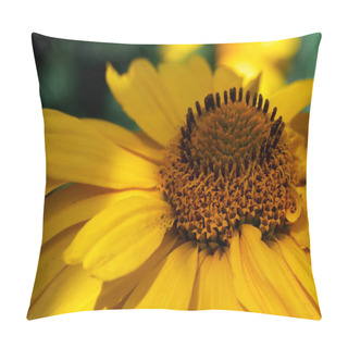 Personality  A Close-up Of A Yellow Flower With A Detailed, Textured Center And Soft Petals. Pillow Covers