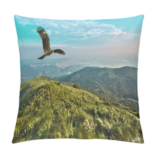 Personality  Free Flight Pillow Covers