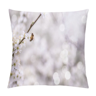 Personality  Honey Bee On White Flower Collecting Pollen And Nectar To Make Honey. Blurred Background - Stock Image Pillow Covers