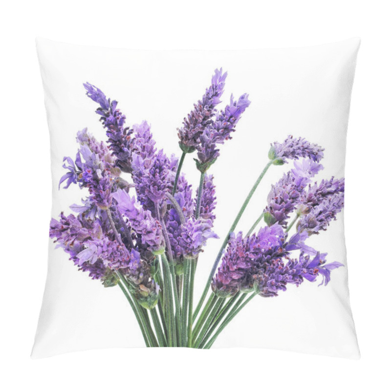 Personality  Lavender pillow covers