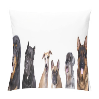 Personality  Group Of   Dogs   Pillow Covers
