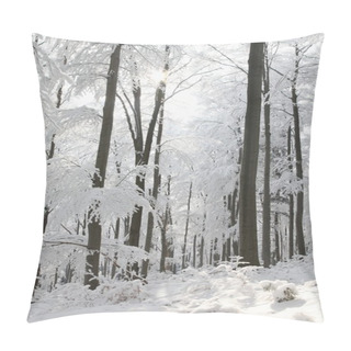 Personality  Snowy Winter Forest On A Sunny Morning Pillow Covers