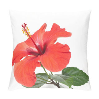 Personality  Hibiskus  Hibiscus Rosa-sinensis Pillow Covers