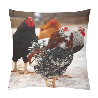 Personality  Hens In Winter Pillow Covers