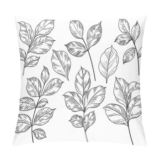 Personality  Hand Drawn Different Leaves Set Isolated On White Background. Monochrome Floral Elements, Plant Parts Vector Sketch. Pillow Covers
