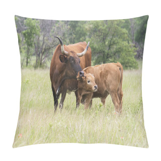 Personality  Texas Longhorn  Pillow Covers