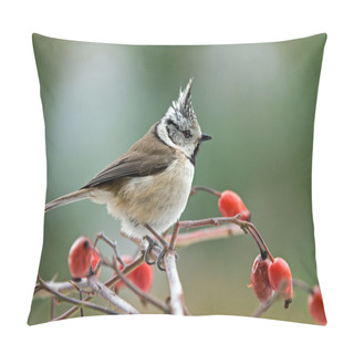 Personality  Crested Tit Pillow Covers