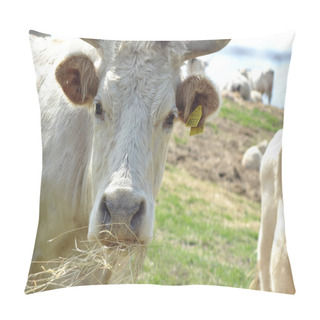 Personality  Cow Eating Hay Pillow Covers