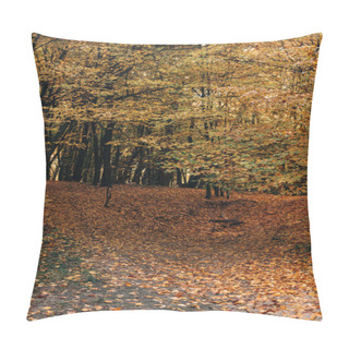 Personality  Fallen Yellow Leaves In Autumn Park Pillow Covers