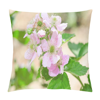 Personality  Bunch Of Blackberry Or Raspberry Spring Blossom Pillow Covers
