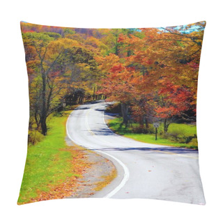 Personality  Winding Rural Mountain Road In Autumn Pillow Covers