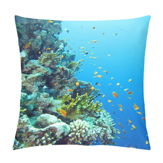 Personality  Coral Reef In Red Sea Pillow Covers