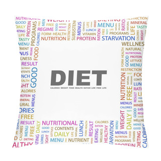 Personality  DIET. Word Collage On White Background Pillow Covers