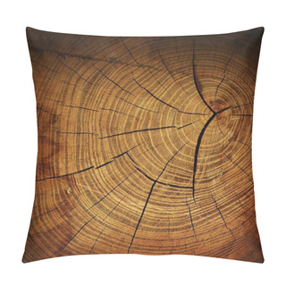 Personality  Tree Stump Pillow Covers