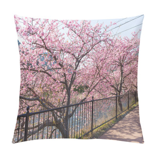Personality  Beautiful Blooming Sakura Trees Pillow Covers