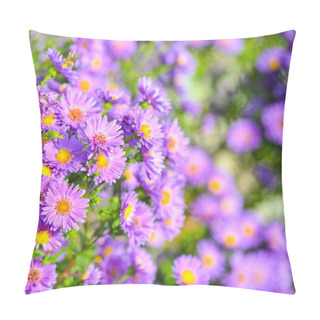 Personality  Floral Summer Background. Gorgeous Violet Flowers And Bright Green Leaves Close Up. Violet Perennial Asters Background For Banner Or Backdrop.  Pillow Covers