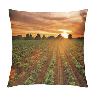 Personality  Sunset On The Potato Field Pillow Covers
