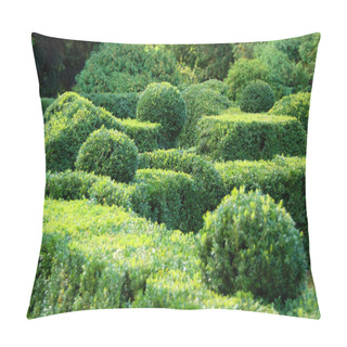 Personality  Clipped Buxus Sempervirens Plant In The Park Pillow Covers