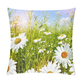 Personality Wildflowers Daisies. Summer Landscape. Pillow Covers