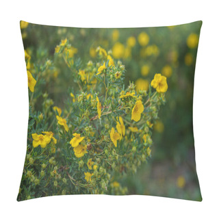 Personality  Yellow Flowers Of Potentilla Fruticosa Pillow Covers