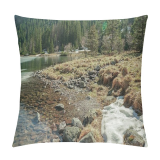 Personality  View Of Rocky Shore With Stones Against Water And Trees On Background, Morskie Oko, Sea Eye, Tatra National Park, Poland Pillow Covers