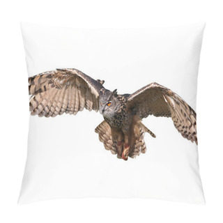 Personality  Flying Owl Pillow Covers