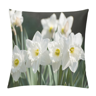 Personality  White Narcissus Flowers Pillow Covers