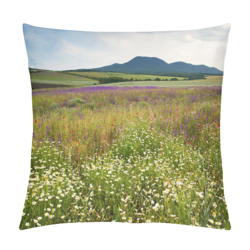 Personality  Spring scenery with wild flowers pillow covers