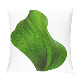 Personality  Leaf With Drops Of Water Pillow Covers