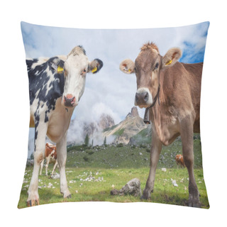 Personality  Funny Cows On The Field. Composition With Animal On The Farm In The Dolomite Alps, Italy. Animal On The Field At The Summer Time Pillow Covers