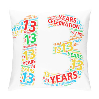 Personality  Colorful Word Cloud For Celebrating A 13 Year Birthday Or Anniversary Pillow Covers