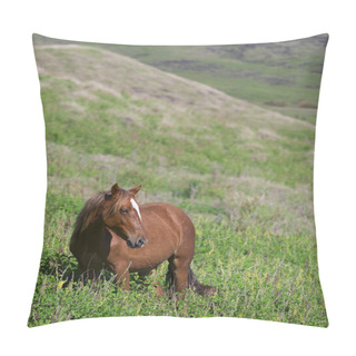Personality  Wild Horse Pillow Covers