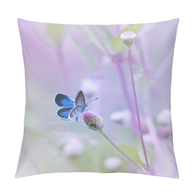 Personality  Blue butterfly on the flower with soft tones pillow covers
