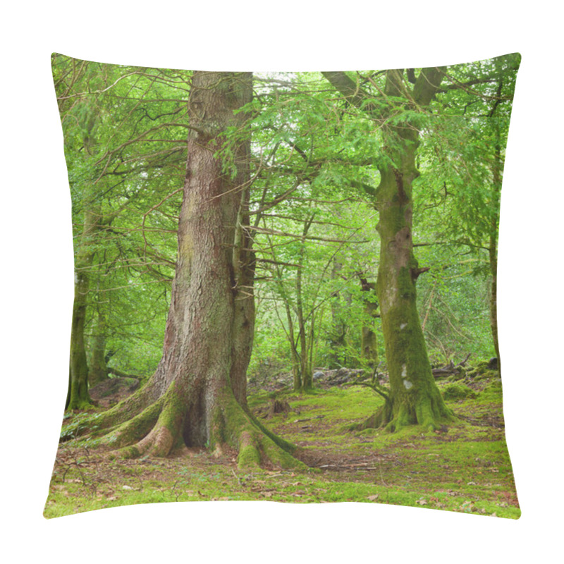 Personality  Forest In Scotland Pillow Covers