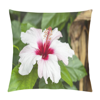 Personality  Close Up View Of Beautiful White Hibiscus Flower Pillow Covers