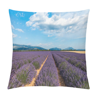 Personality  Beautiful Blooming Lavender Field And Distant Mountains In Provence, France  Pillow Covers